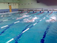 Соревнования по плаванию на первенство колледжей